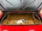 1998 Chevrolet Corvette Base