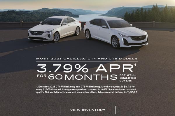 ryan auto sales buffalo mn