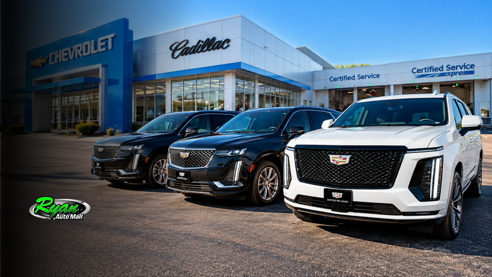 Cadillac Certified Pre-Owned SUVs on display at Ryan Cadillac in Buffalo, MN, including a white Cadillac Escalade